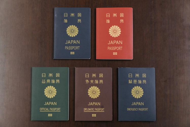约基奇,助闪耀掘金,主场,世界杯赛事,2026世界杯,比赛日程,参赛球队,最新动态