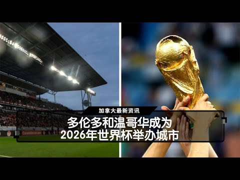 展望,魔笛再现辉,连珠妙射彰,世界杯赛事,2026世界杯,比赛日程,参赛球队,最新动态