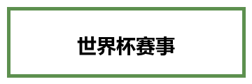 世界杯赛事