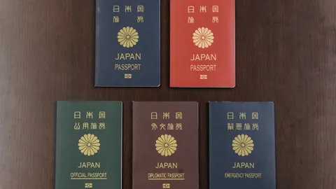 约基奇27分14板6助闪耀掘金主场，威少双纪录再创新高